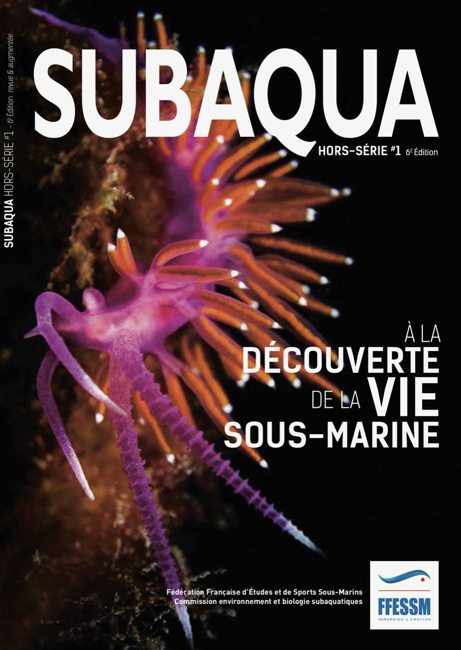 Première couverture "A la découverte de la vie sous-marine"