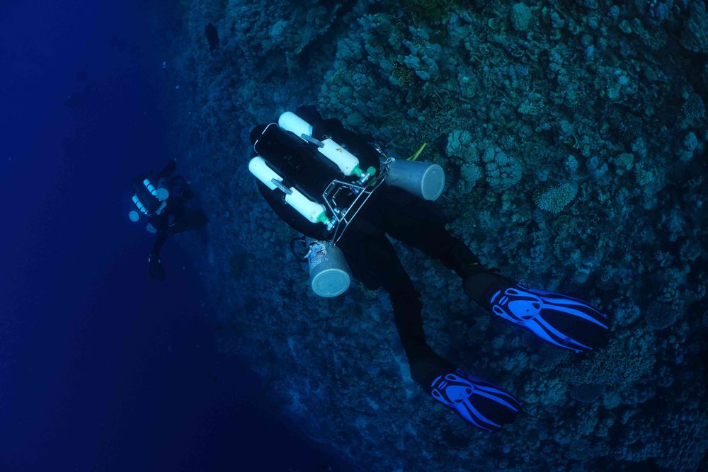 Un plongeur recycleur vu de dos.