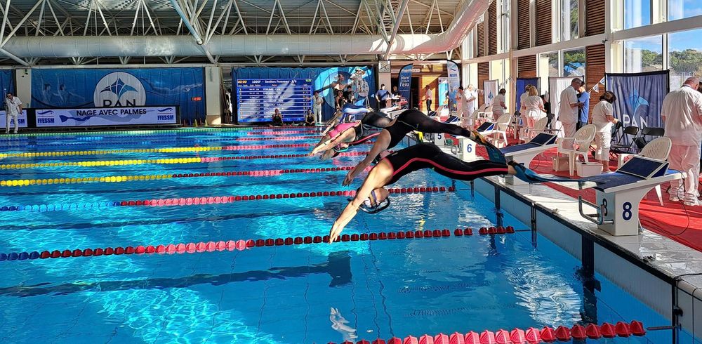 Départ depuis les plots d'une piscine de nageurs avec palme