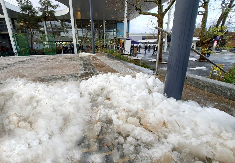 Neige devant le hall 4