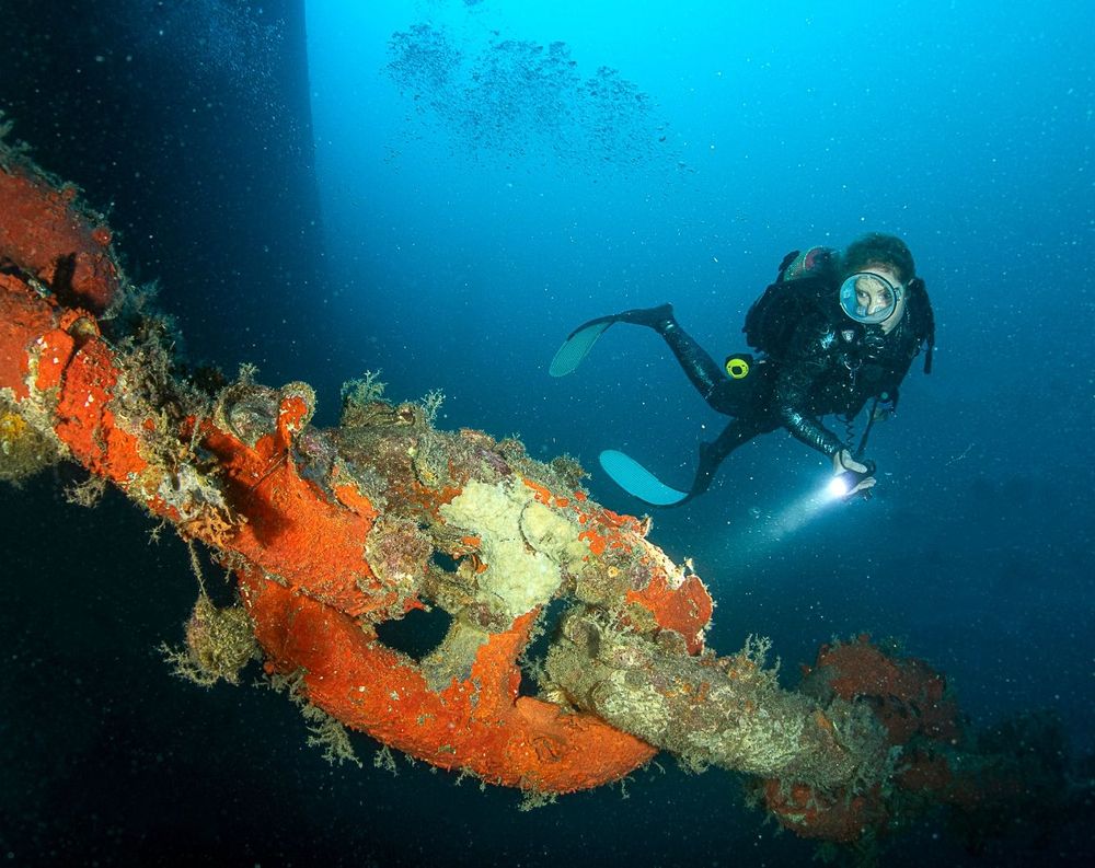 Une plongeuse éclaire un maillon géant