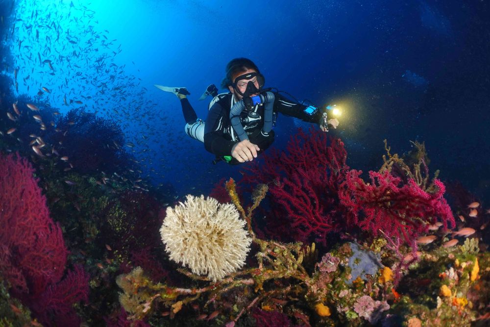 Un plongeur recycleur près d'une roche