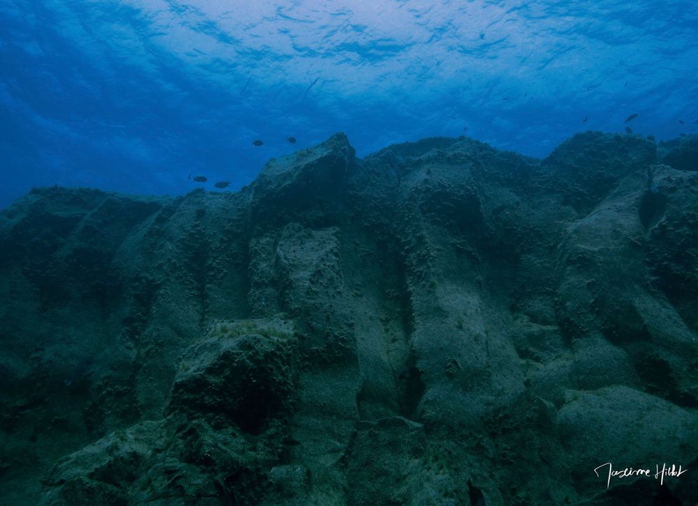  Falaise basaltique sous-marine