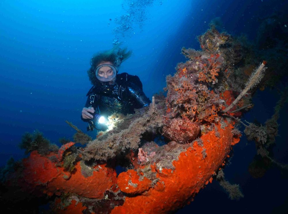 Une plongeuse devant un maillon géant