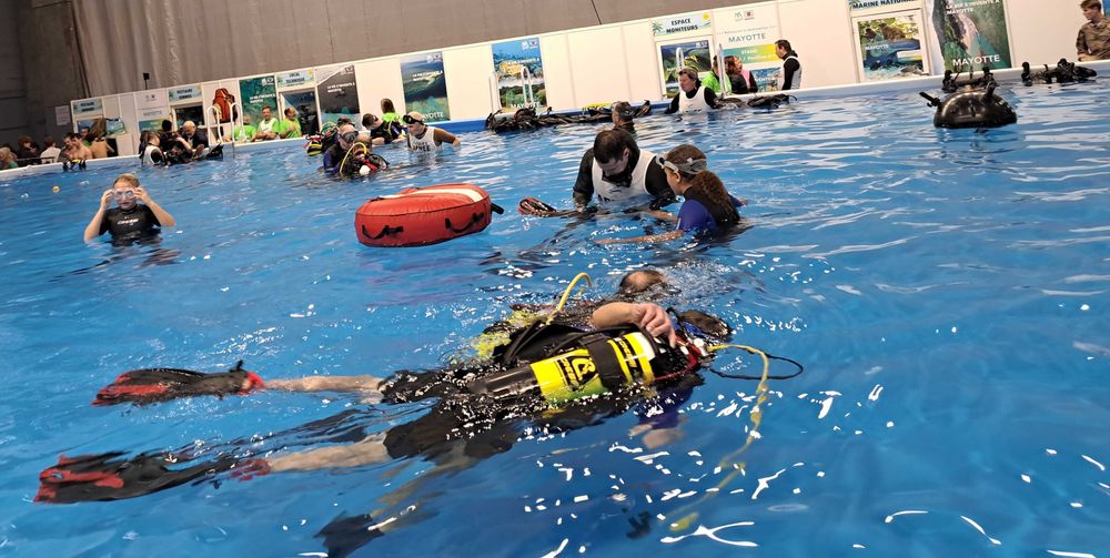 Ds plongeurs dans le bassin du salon