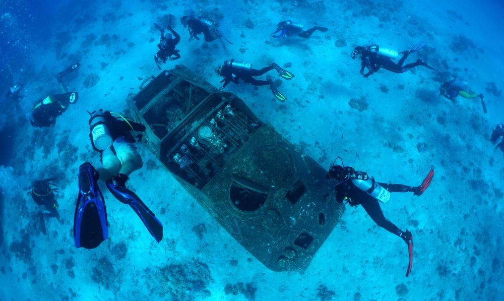 Des plongeurs au-dessus d'un tank