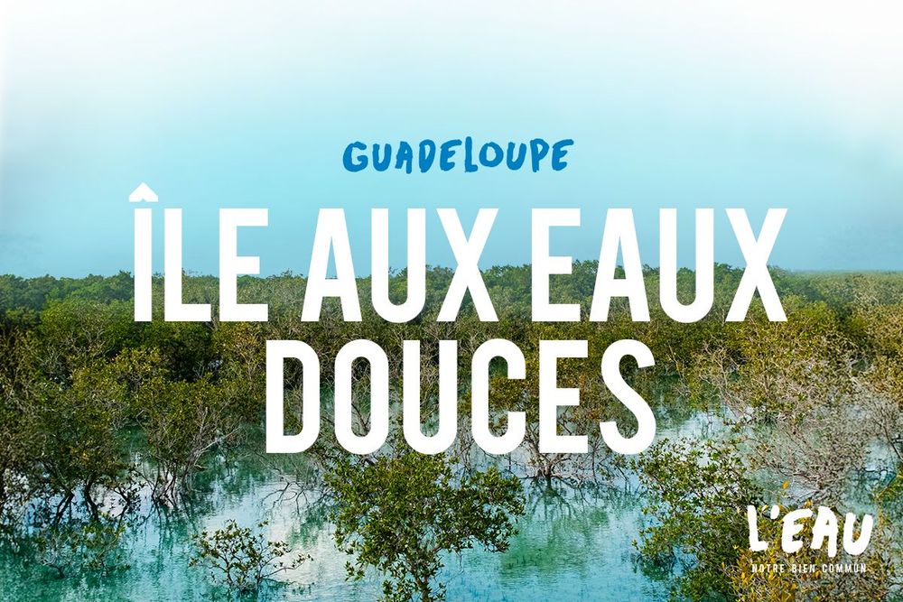 Affiche du podcast Martinique