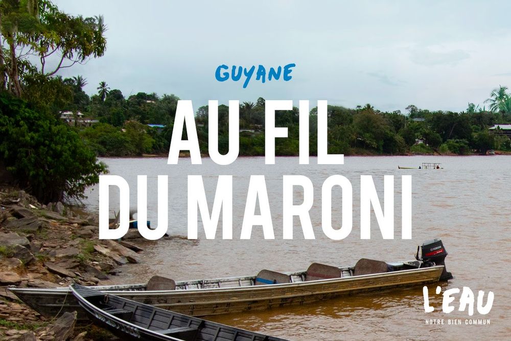 Affiche du podcast Guyane