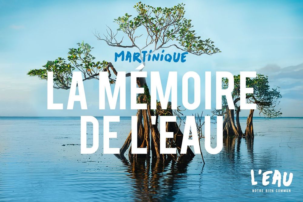 Affiche du podcast Martinique