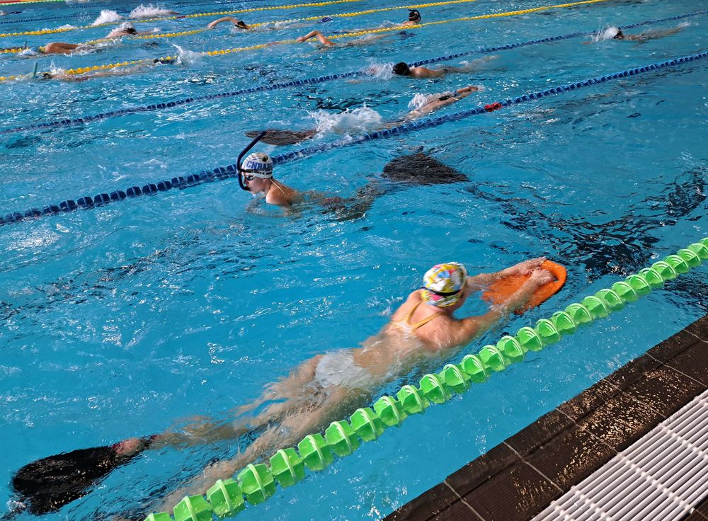 Nageurs avec palmes en piscine