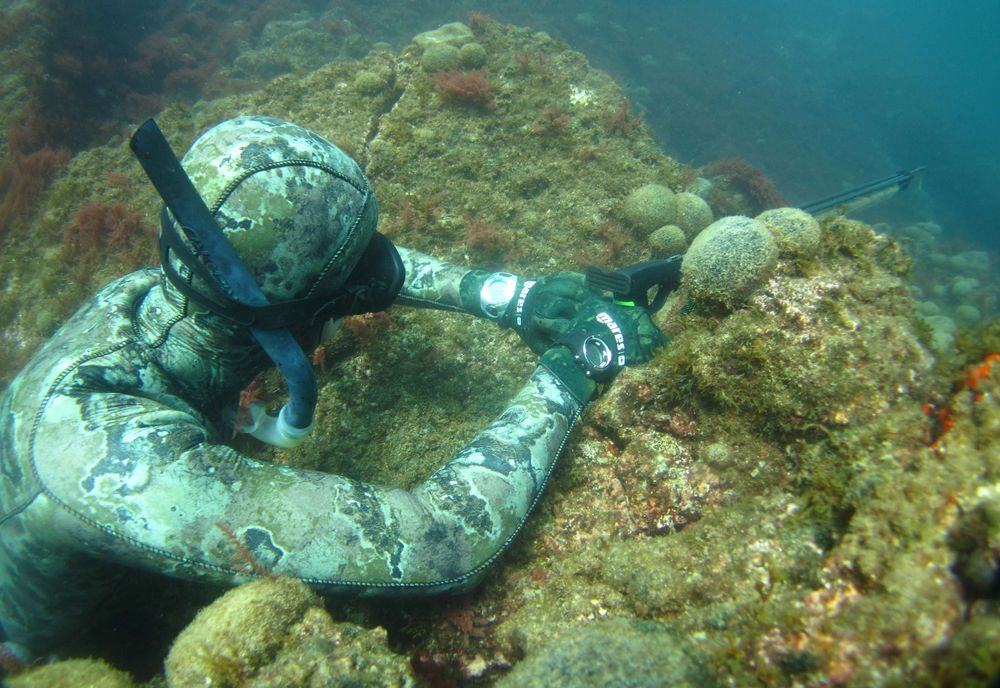 Un pecheur sous-marin