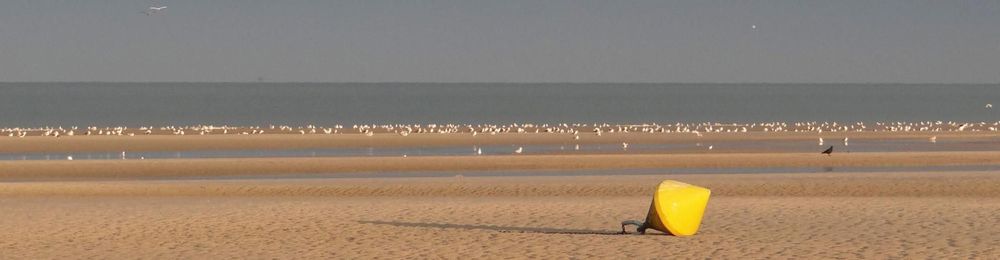 plage à marée basse, mer d'Opale