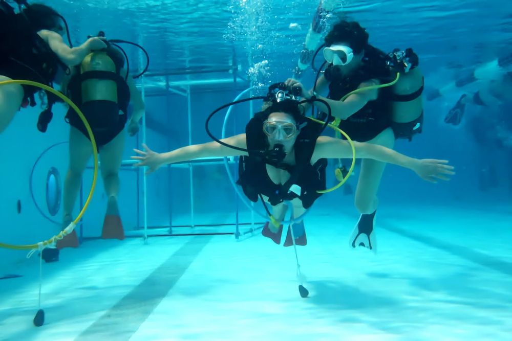 Des plongeuses sour l'eau en piscine