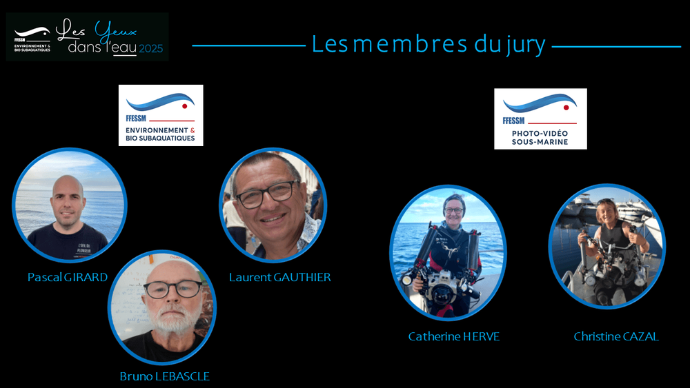 Les membres du jury de l'édition 2025.