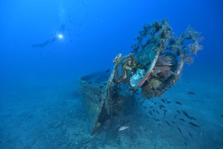 Une épave de barque