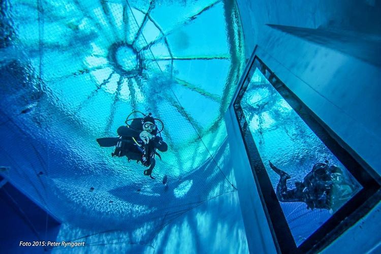 Un plongeur dans la fosse du Duiktank 