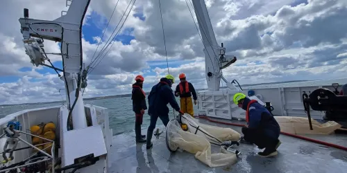 Des scientifiques à l'arrière d'un bateau remontent un filet avec du plancton